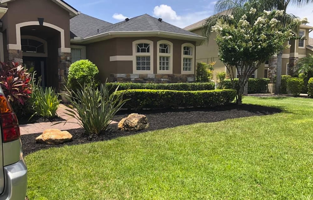 Landscape Design and Installation FL