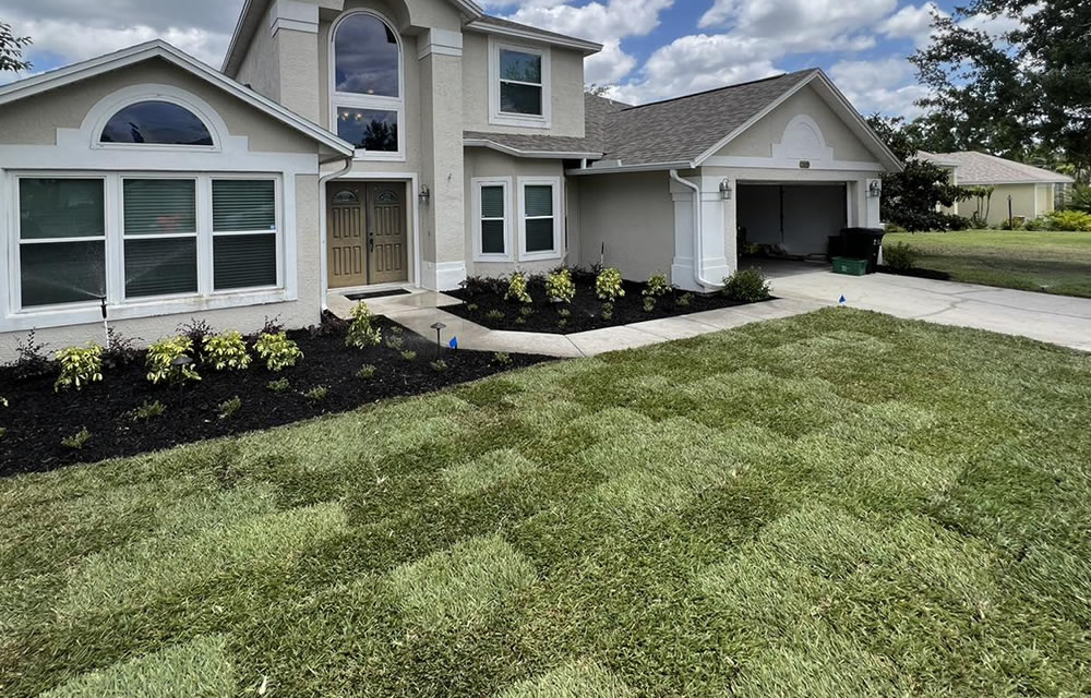 Sod Installation Services FL